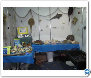 Southern Ocean Education Events
