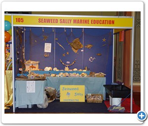 Southern Ocean Education Events