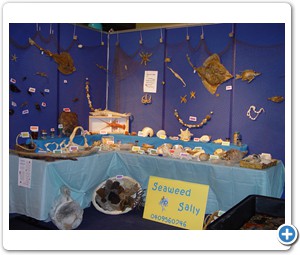 Southern Ocean Education Events